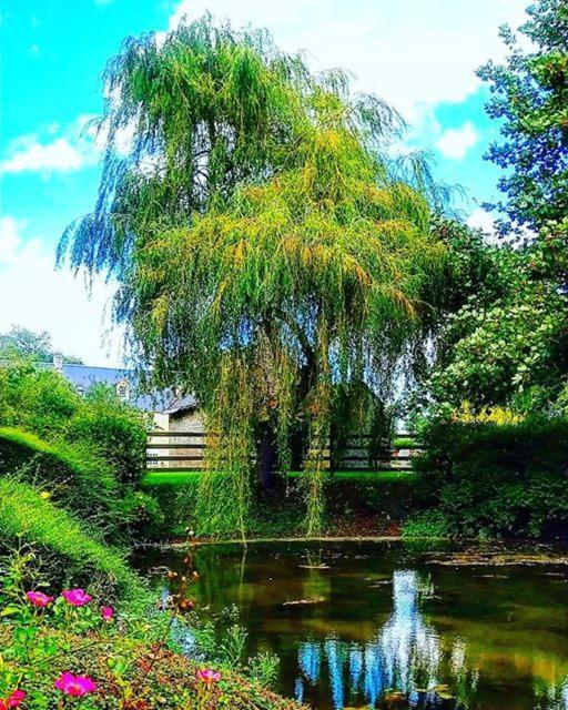 Hotel Le Manoir De Mathan Crepon A La Campagne 5 Mn D'Arromanches Et 10 Mn De Bayeux Eksteriør bilde